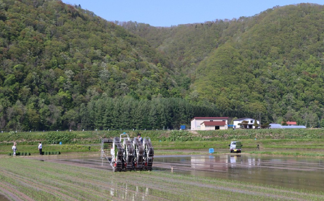 令和7年度産 ななつぼし 10kg
