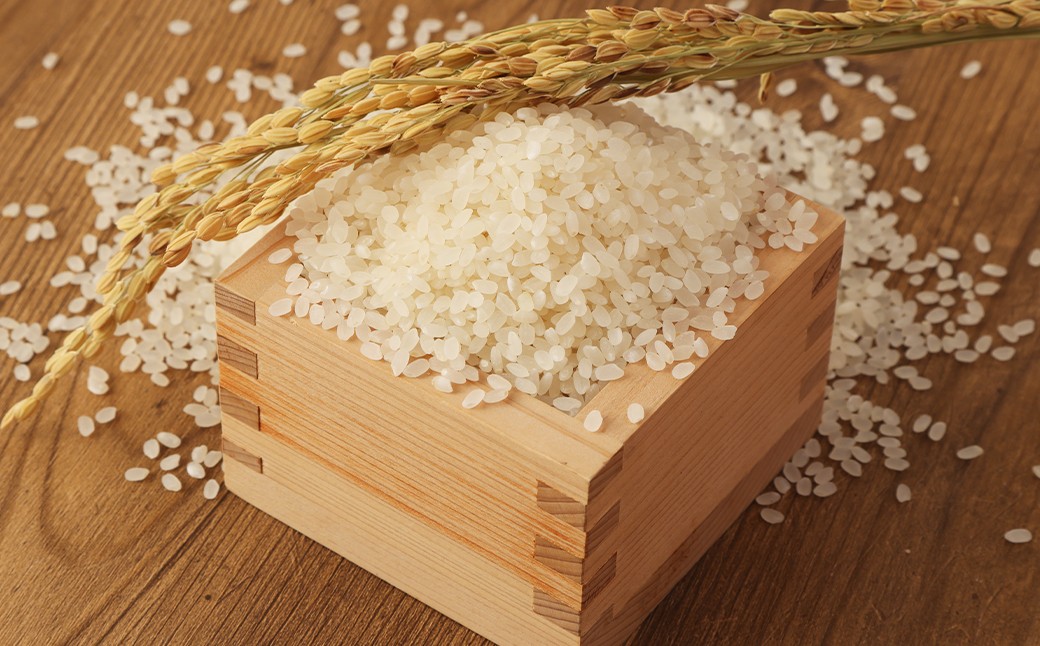 【6ヶ月定期便】 無洗米 食味鑑定士厳選 夢つくし 30kg（5kg×6袋）×6回 計180kg