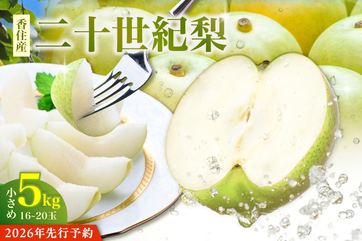 大人気のお礼の品！香美町の二十世紀梨！