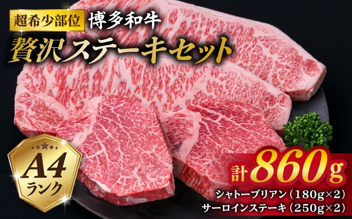 ヒレステーキ ステーキ ヒレ フィレ 牛肉 赤身 国産 肉 和牛  黒毛和牛
