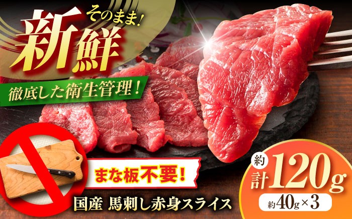馬刺し 赤身 熊本 ばさし 人気 馬刺し 馬刺 国産 馬肉 たれ 赤身 国産  冷凍 九州 菊陽町