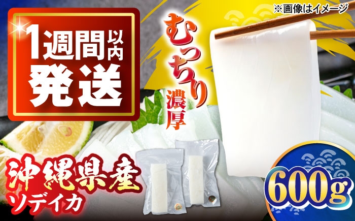 いか イカ 冷凍 刺身 小分け ストック 柵 新鮮 直送 獲れたて 生食 海鮮 沖縄産 大人気 おすすめ