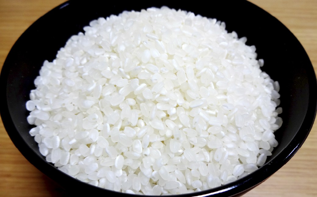 令和7年産 「くまさんの輝き」10kg 