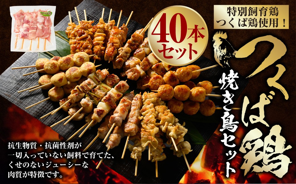 つくば鶏 焼き鳥セット 40本