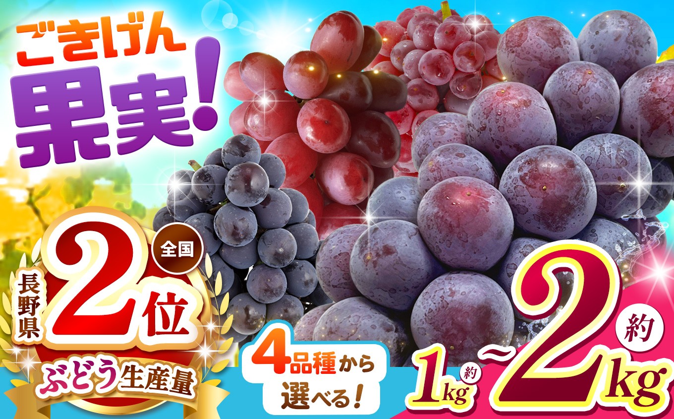 ブドウ王国 長野県から ごきげん果実♪ をお届けします