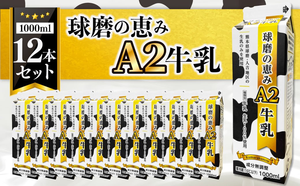 球磨の恵みＡ2牛乳12本セット
