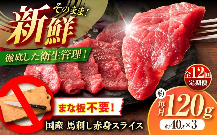 定期便 専用醤油付き 生姜付き おすすめ 馬刺 赤身 国産 赤身馬刺し ばさし 冷凍 熊本県 菊陽町