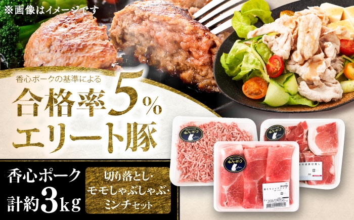 豚肉 ぶたにく ぶた肉 ブタ肉 ブタ ポーク 冷凍 ブランド ブランド豚 菊陽 熊本