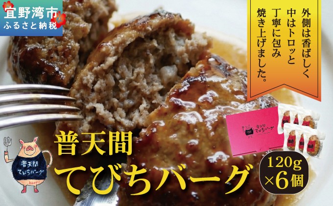 普天間てびちハンバーグ 120g×6個 | BISTROT LIERRE BLANC II | 沖縄県 宜野湾市 送料無料