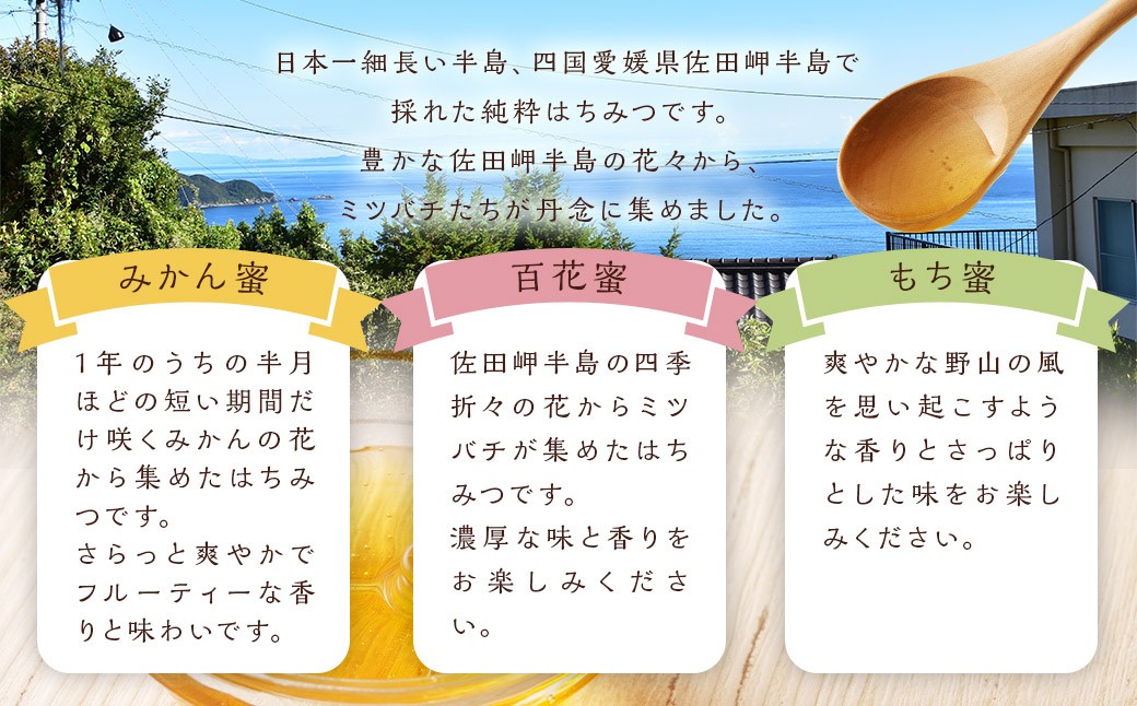 「岬のしずく」 佐田岬半島産 純粋 蜂蜜 （みかん・百花・もち）合計360g 3種 (303-1)