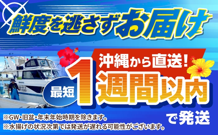 いか イカ 冷凍 刺身 小分け ストック 柵 新鮮 直送 獲れたて 生食 海鮮 沖縄産 大人気 おすすめ