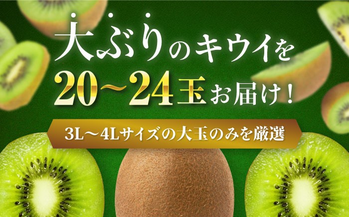 生産量日本一！家族で毎日食べられる！甘熟キウイフルーツ　3L～4Lサイズ（20～24玉入）