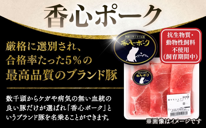 豚肉 ぶたにく ぶた肉 ブタ肉 ブタ ポーク 冷凍 ブランド ブランド豚 菊陽 熊本