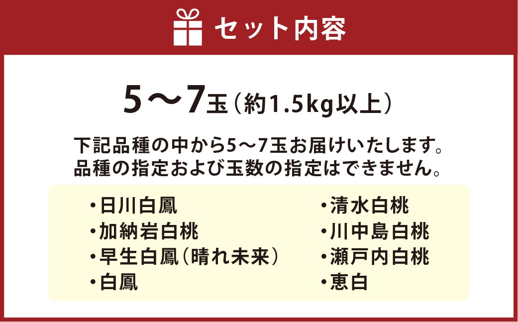 【ご家庭用】 岡山白桃 5～7玉（約1.5kg以上）
