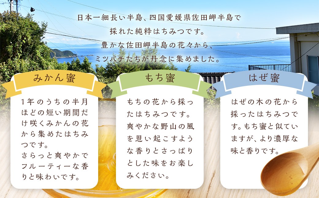 「岬のしずく」佐田岬半島産純粋蜂蜜 （みかん・もち・はぜ） 3本 セット 合計3kg 3種 はちみつ ハチミツ 蜜（318）