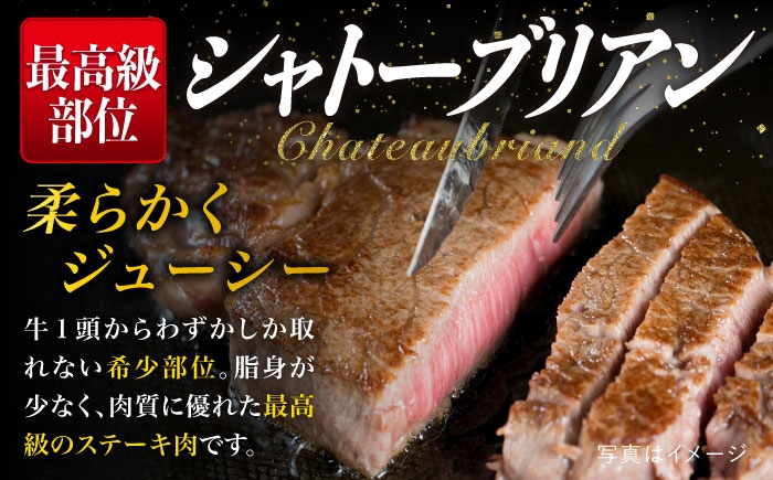 ヒレステーキ ステーキ ヒレ フィレ 牛肉 赤身 国産 肉 和牛  黒毛和牛