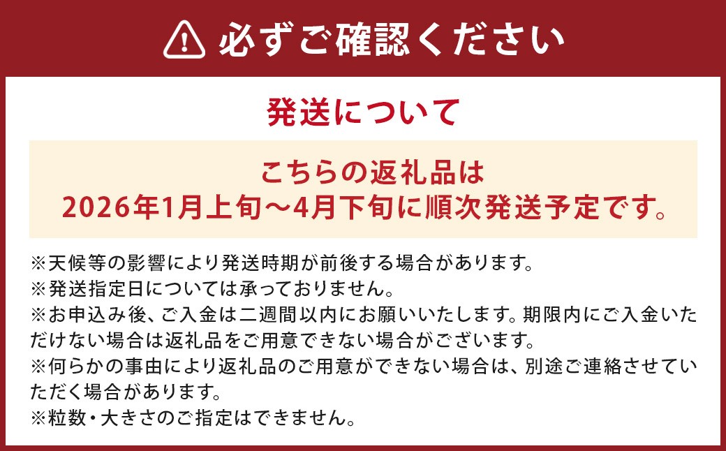 あまおう ギフト BOX 約30g×8個×2パック 計約480g