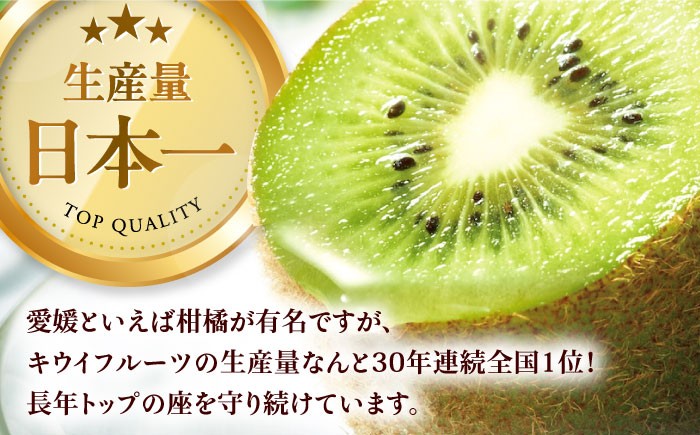 生産量日本一！家族で毎日食べられる！甘熟キウイフルーツ　3L～4Lサイズ（20～24玉入）