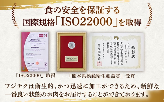 馬刺し 赤身 熊本 ばさし 人気 馬刺し 馬刺 国産 馬肉 たれ 赤身 国産  冷凍 九州 菊陽町