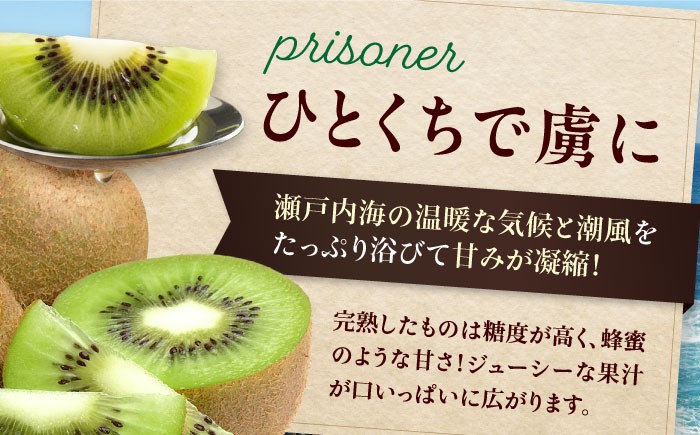 生産量日本一！家族で毎日食べられる！甘熟キウイフルーツ　3L～4Lサイズ（20～24玉入）