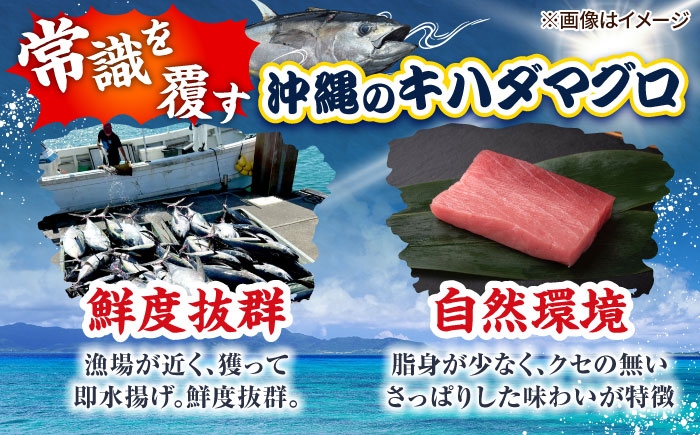 マグロ まぐろ 鮪 刺身 キハダマグロ 赤身 ブロック 小分け 柵 海鮮丼 魚介 冷凍 急速冷凍 お取り寄せ 沖縄 おすすめ