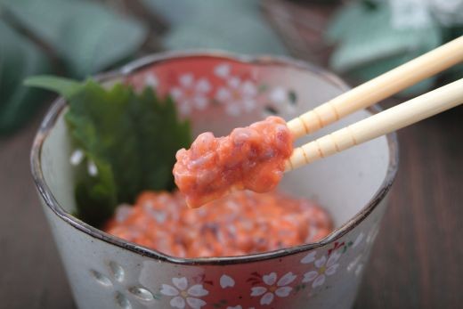 いか塩辛５本セットA