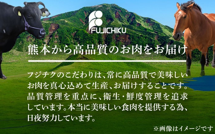 定期便 専用醤油付き 生姜付き おすすめ 馬刺 赤身 国産 赤身馬刺し ばさし 冷凍 熊本県 菊陽町