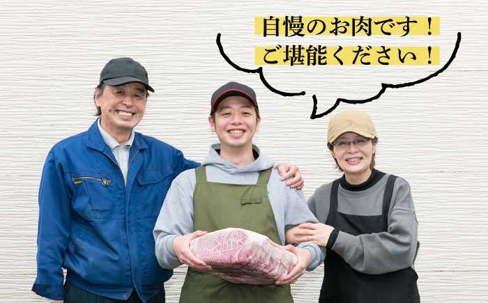ヒレステーキ ステーキ ヒレ フィレ 牛肉 赤身 国産 肉 和牛  黒毛和牛