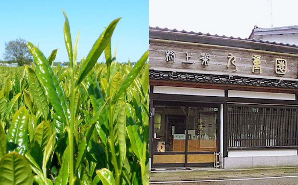 村上 銘茶 詰め合せ A 2種 各90g×2本