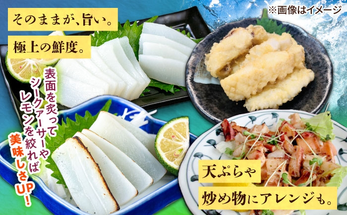 いか イカ 冷凍 刺身 小分け ストック 柵 新鮮 直送 獲れたて 生食 海鮮 沖縄産 大人気 おすすめ