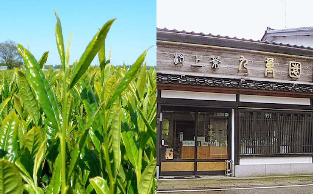 【障がい者応援品】村上銘茶詰め合せA