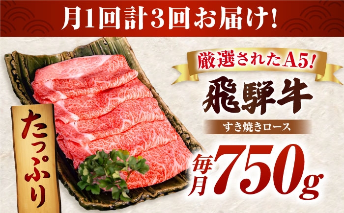 飛騨牛 ブランド牛 A5 すき焼き すきやき すき焼き用牛肉 肉 すき焼き肉 牛肉 ロース 鍋 A5ランク 定期便