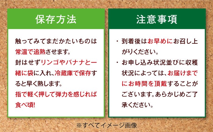 生産量日本一！家族で毎日食べられる！甘熟キウイフルーツ　3L～4Lサイズ（20～24玉入）
