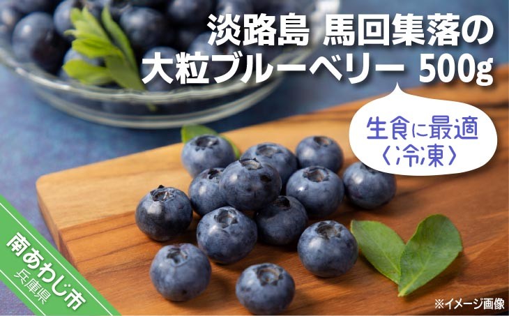 【生食に最適／冷凍】淡路島　馬回集落の大粒ブルーベリー  500g