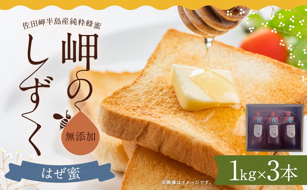 「岬のしずく」佐田岬半島産 純粋蜂蜜 はぜ蜜 1kg 3本 セット 合計約3kg はちみつ ハチミツ 蜜 国産 常温（322）
