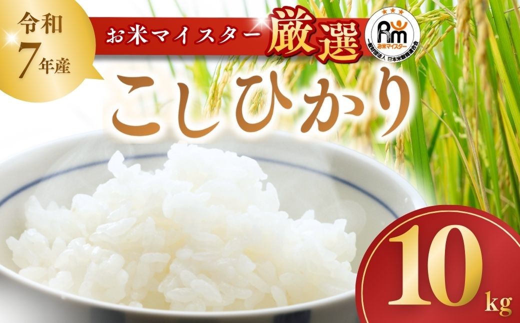 こしひかり コシヒカリ お米 おこめ 精米  令和7年産　
