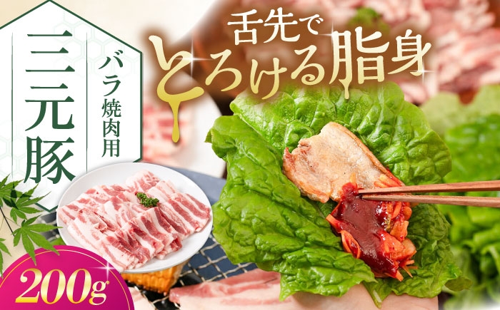 肉 豚肉 豚バラ バラ カルビ 焼肉 スライス 冷凍 冷凍配送 平田牧場 北海道