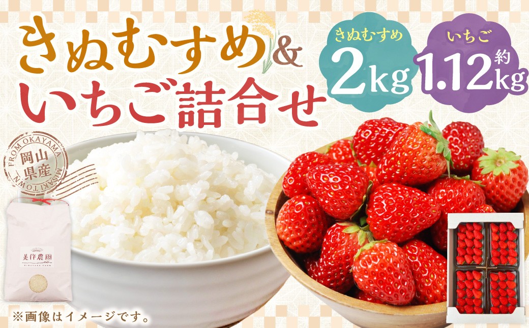 【令和7年産】新米・精米 きぬむすめ2㎏&いちご詰合せ（約280g×4パック） 