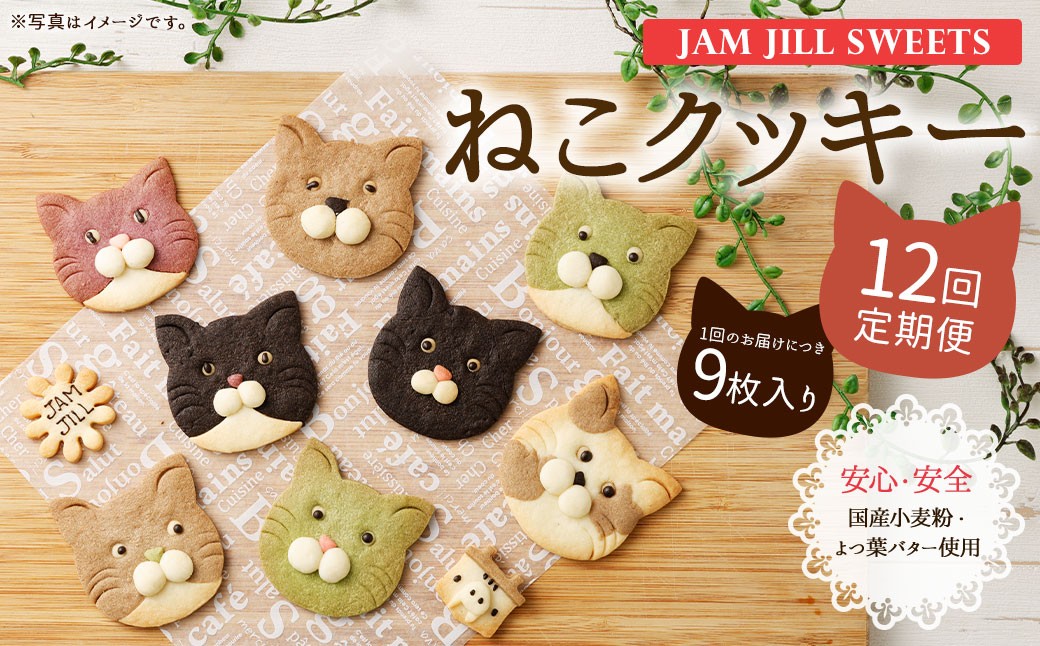 JAM JILL SWEETS　ねこクッキーセット