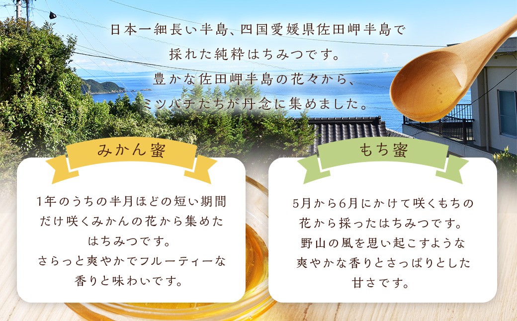 「岬のしずく」佐田岬半島産 純粋蜂蜜 （みかん・もち）各300g 2本 セット 2種 はちみつ ハチミツ（325）