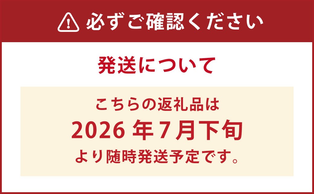 久住高原童心回帰農場の自然栽培 フローズン ブルーベリー 1㎏ 冷凍