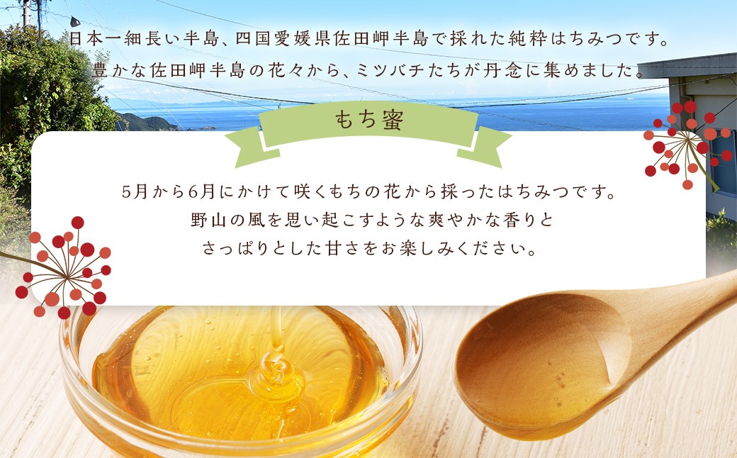 「岬のしずく」佐田岬半島産 純粋蜂蜜 もち蜜 1kg 3本 セット 合計約3kg はちみつ ハチミツ 蜜 国産（321）