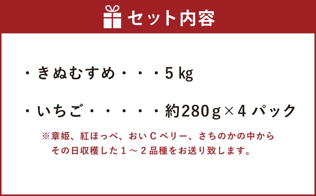 【令和7年産】 新米・精米 きぬむすめ5㎏&いちご詰合せ（約280g×4パック）