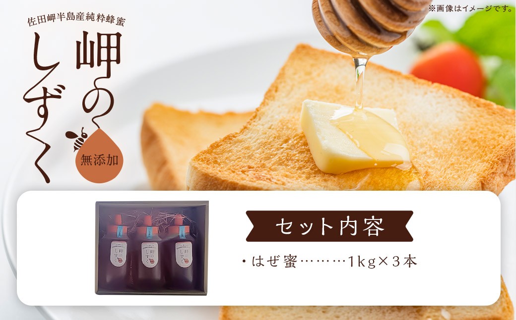 「岬のしずく」佐田岬半島産 純粋蜂蜜 はぜ蜜 1kg 3本 セット 合計約3kg はちみつ ハチミツ 蜜 国産 常温（322）