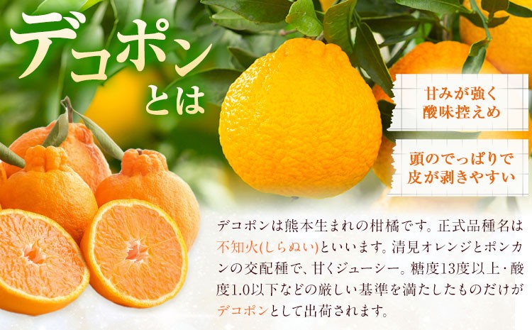 菊池銘菓 ぽんぽんブッセ 1箱（8個入り）