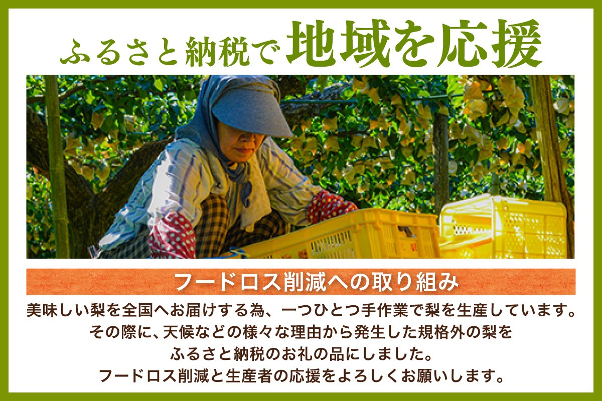 生産者の皆様が丹精込めて育てております。