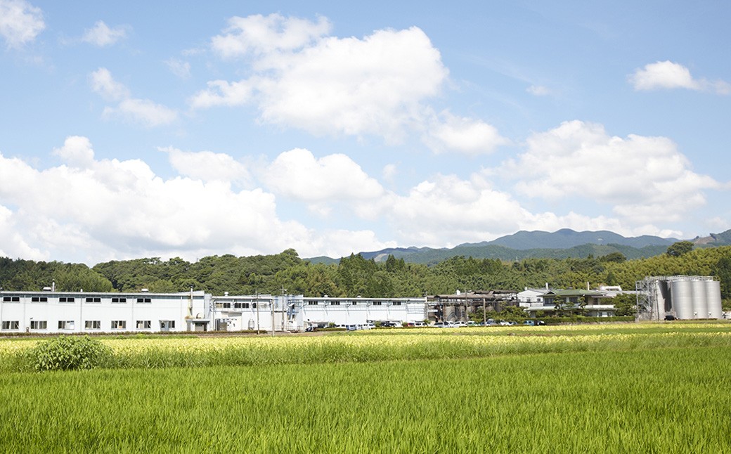 「白岳パック」25度 1800ml×6本