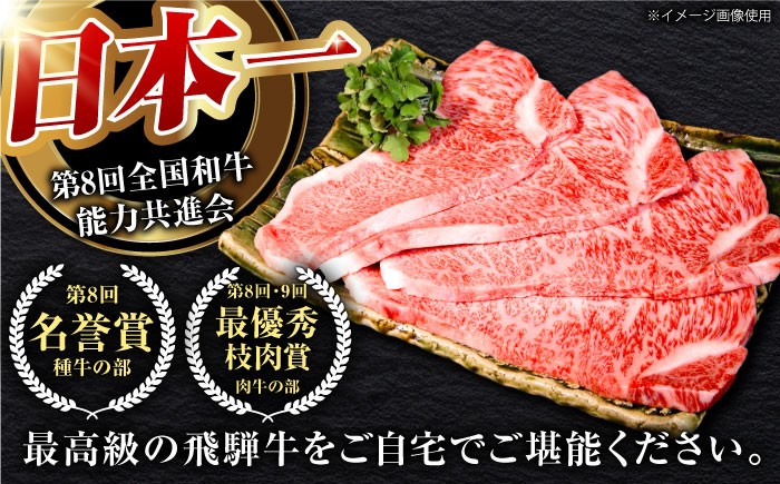 飛騨牛 ブランド牛 A5 サーロイン ステーキ サーロインステーキ 4枚  ステーキ肉 すてーき  さーろいん 肉 牛肉 定期便