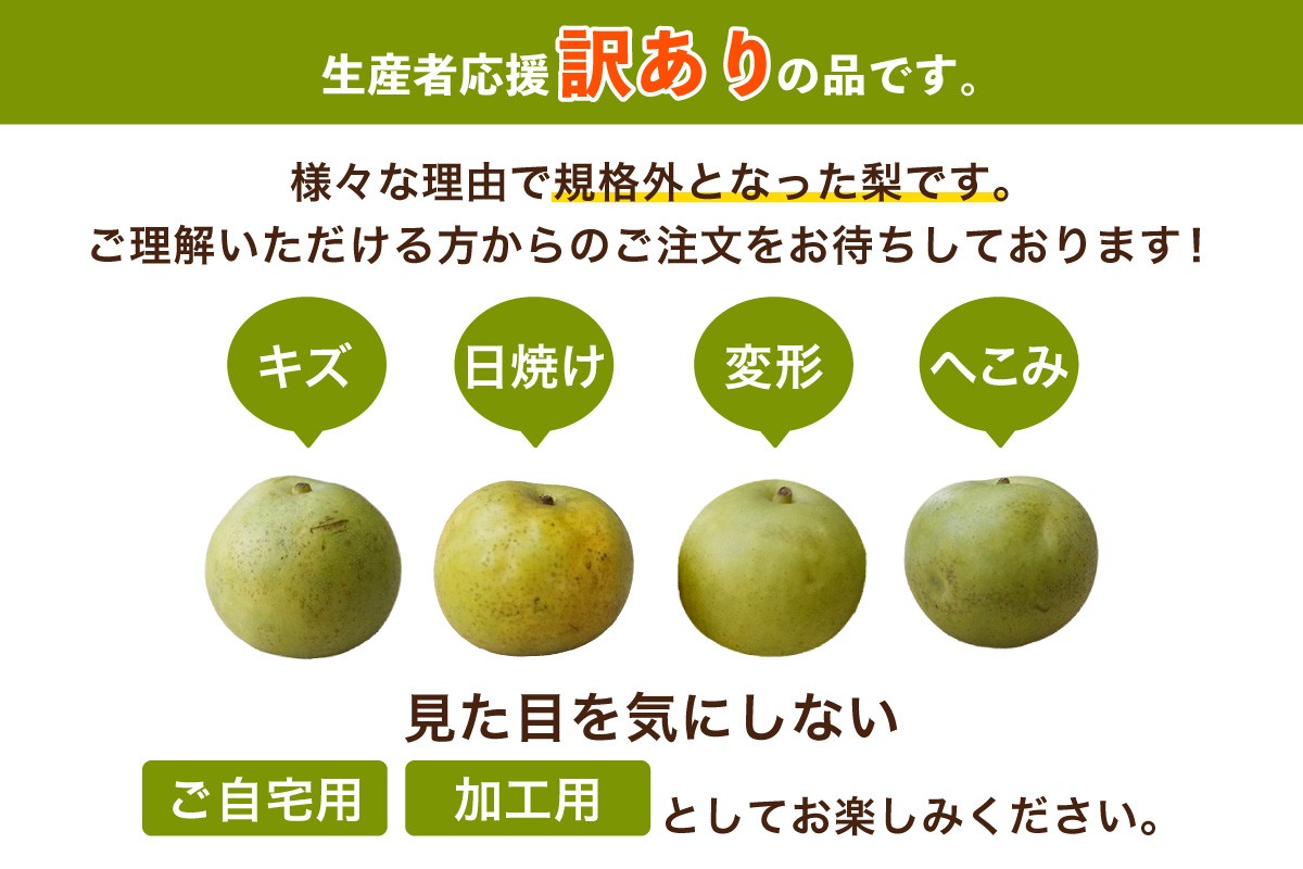 訳ありです。見た目を気にしないご家庭用としてお申込みください。