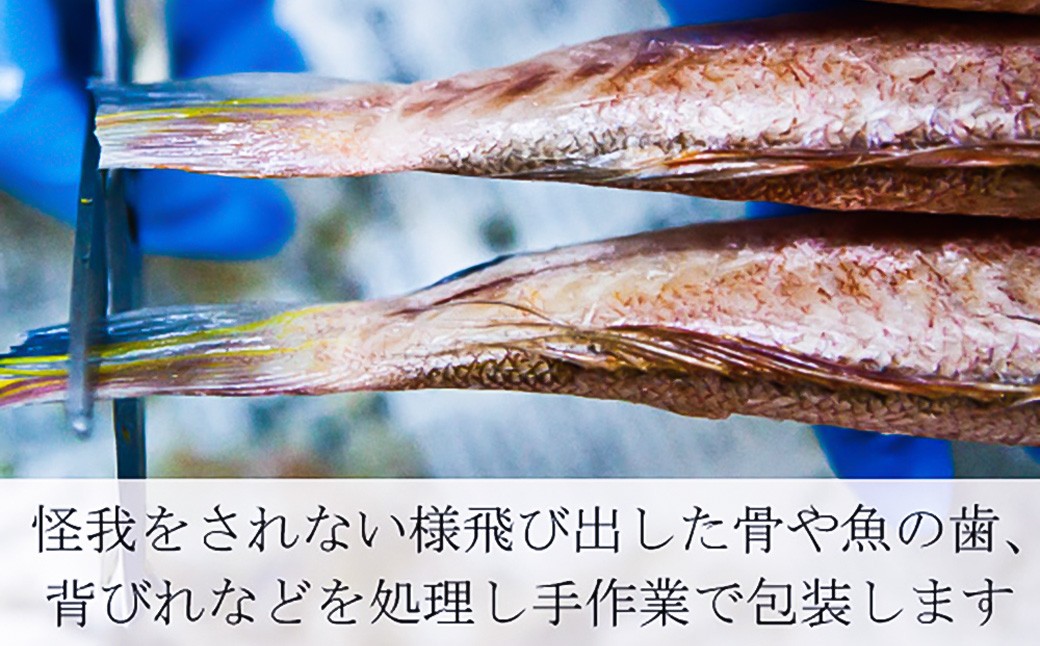 一夜干しオリジナルセット